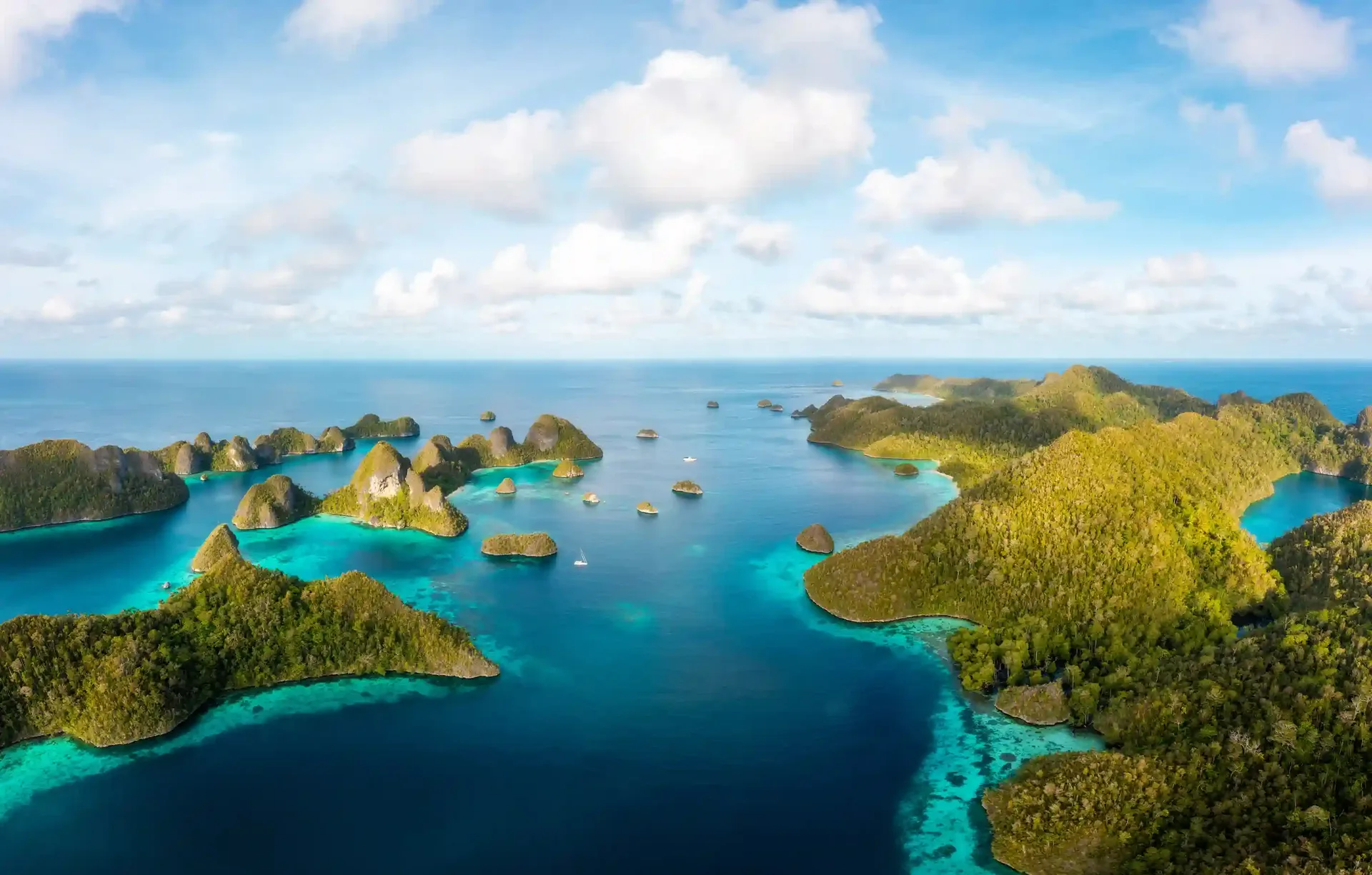 Cheap Visa Agent Bali Review vs Safe Choice