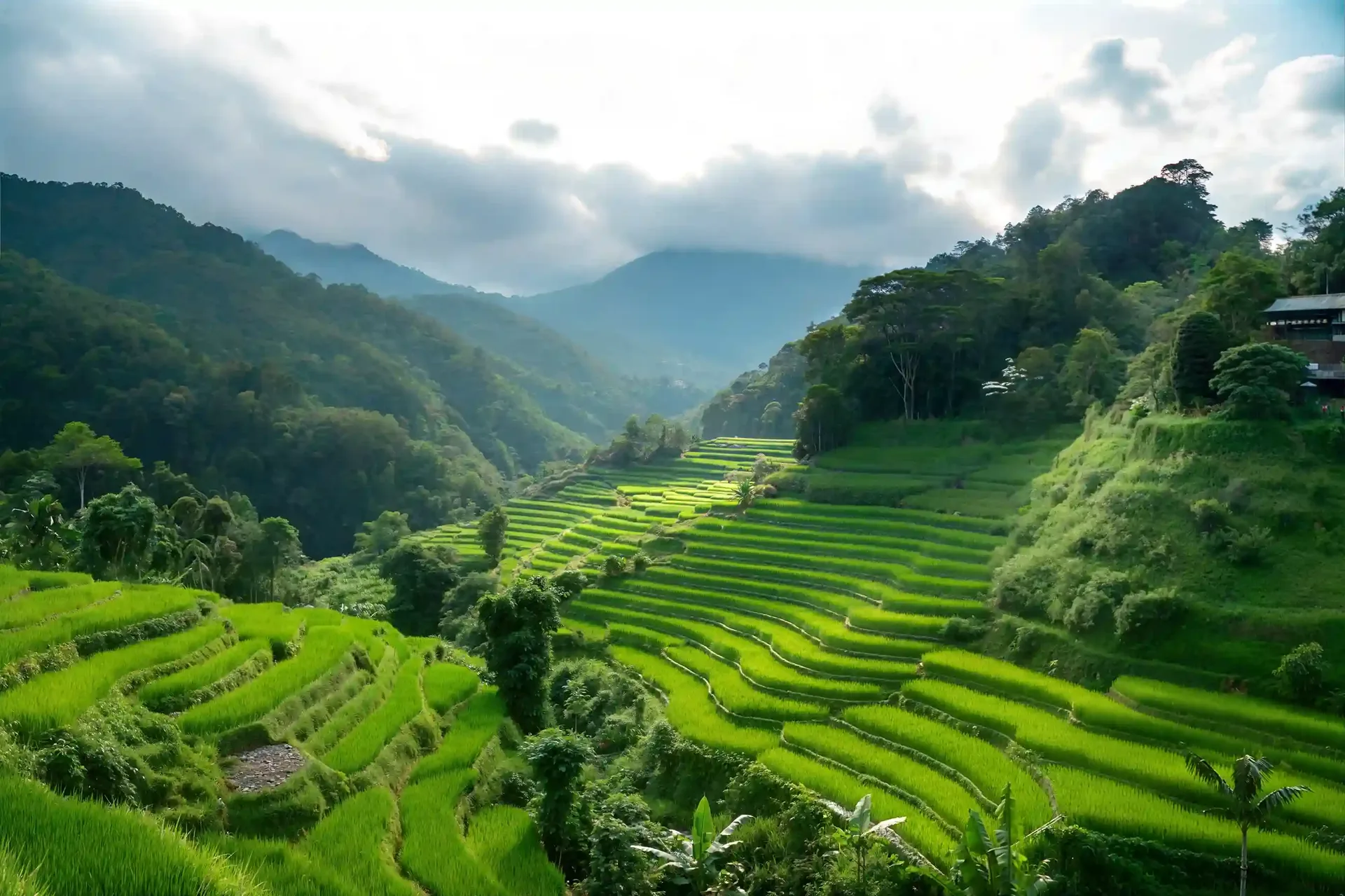 Is a Bali Visa Agent Worth It in 2026? Agent vs DIY, Honestly